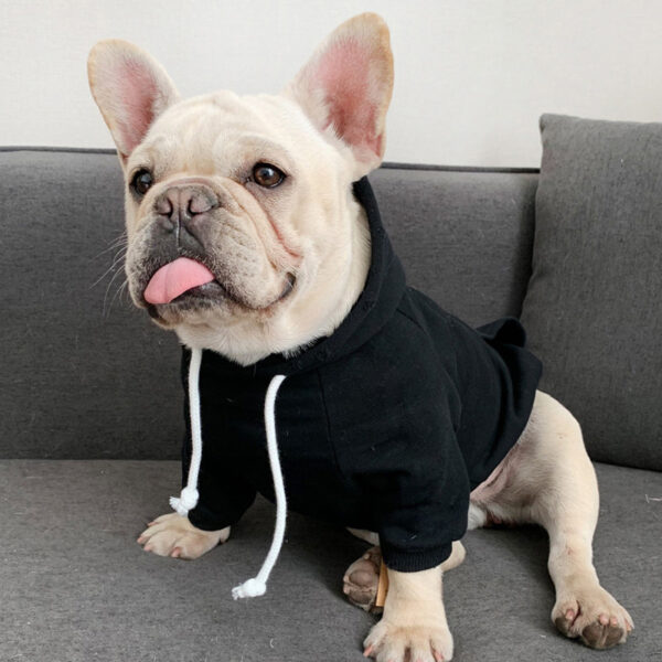 Pet with fleece hoodie - Image 4