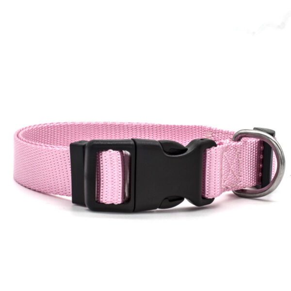 New Pet Collar - Image 2