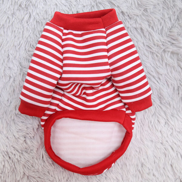 Cat Dog Pet Clothes for Small Dog Cute Sweater Spring Cat Cute Teddy Bear - Image 7