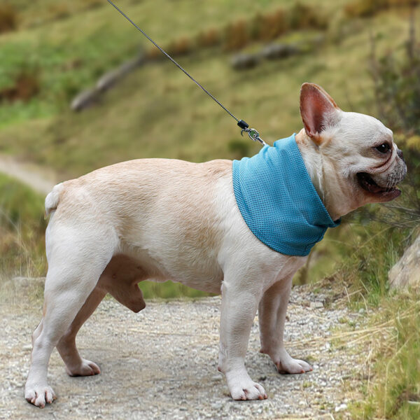 New Instant Cooling Pet Bandana Dog Scarf Summer Cooling Towel Wrap Dog Collar - Image 5