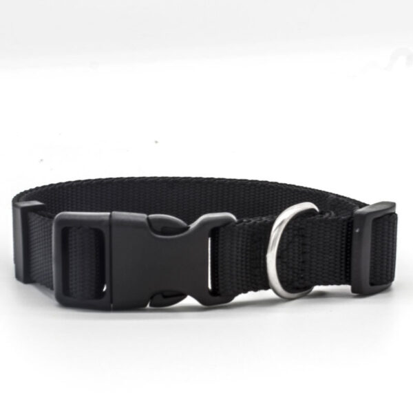 New Pet Collar - Image 3