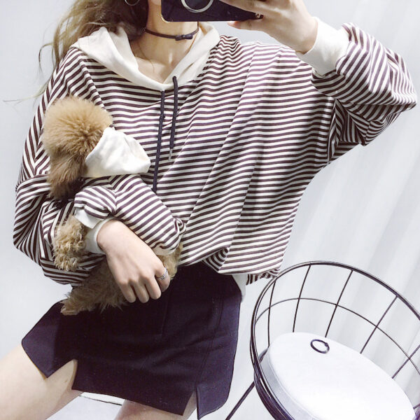 Dog Terry Sweater Teddy Small Dog Fashion Brand Clothes - Image 2