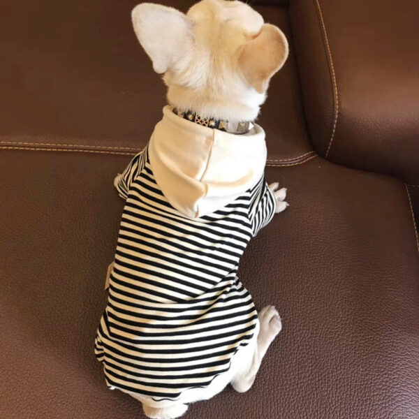 Dog Terry Sweater Teddy Small Dog Fashion Brand Clothes - Image 4