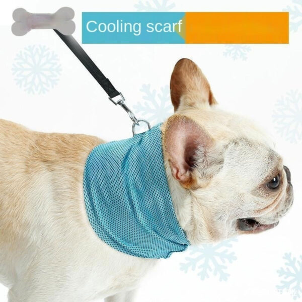 New Instant Cooling Pet Bandana Dog Scarf Summer Cooling Towel Wrap Dog Collar - Image 6