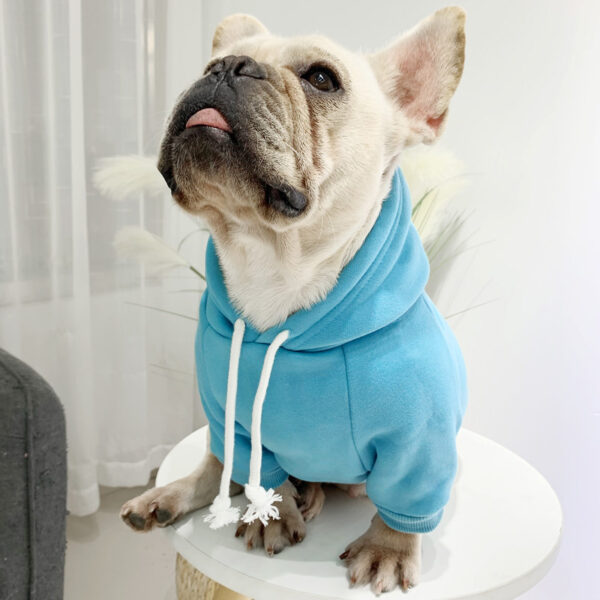 Pet with fleece hoodie - Image 7