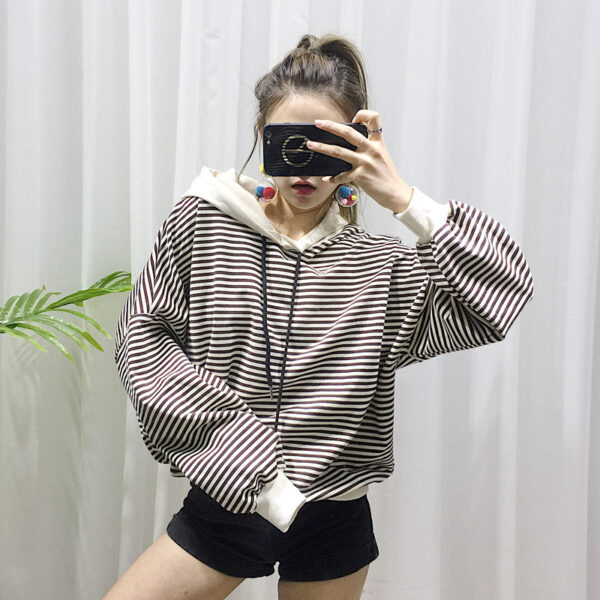 Dog Terry Sweater Teddy Small Dog Fashion Brand Clothes - Image 6