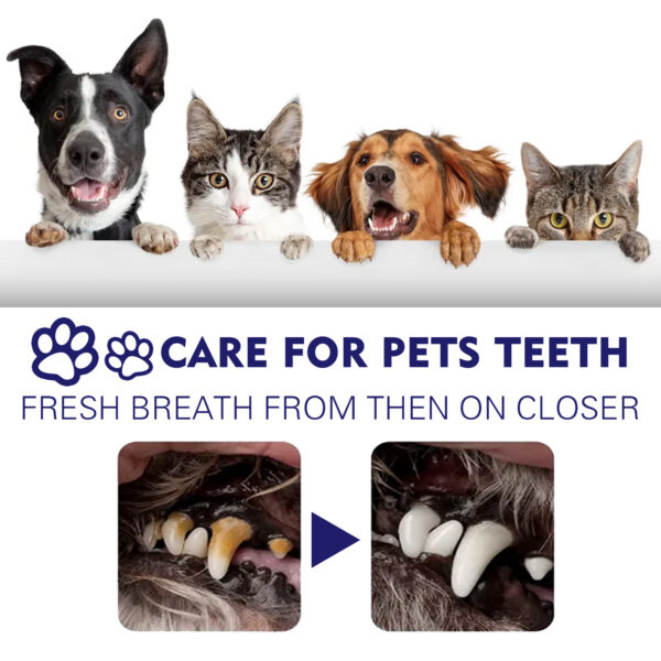 Pet Oral Cleaning Cream Cat And Dog Cleaning Oral Odor - Image 7