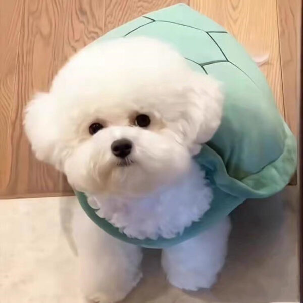 Turtle Shell Pet Vest Funny Clothes - Image 5