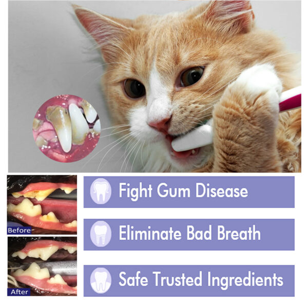 Pet Oral Cleaning Cream Cat And Dog Cleaning Oral Odor - Image 10