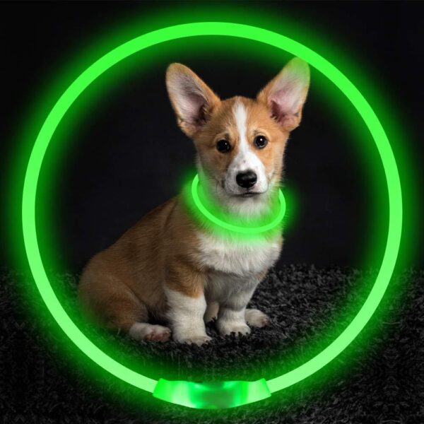 Pet Flashing Collar USB Rechargeable Glowing Necklace Safety Collar Light Up Collars For Night Walking Electric Dog Collar Neon - Image 5