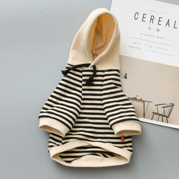 Dog Terry Sweater Teddy Small Dog Fashion Brand Clothes - Image 5