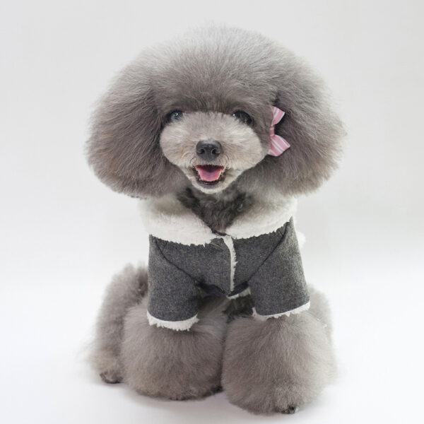Winter Fashion Personalized Pet Clothing - Image 5