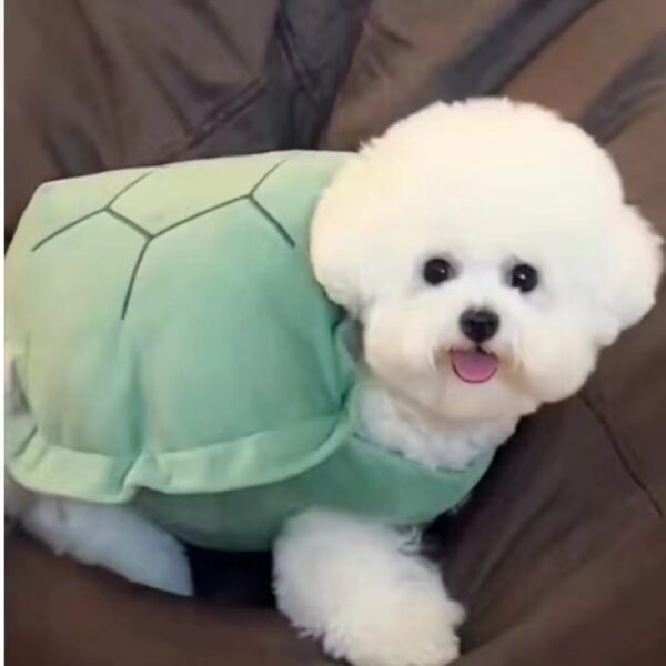 Turtle Shell Pet Vest Funny Clothes - Image 4