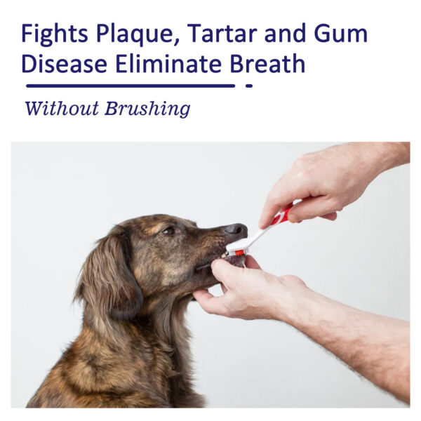 Pet Oral Cleaning Cream Cat And Dog Cleaning Oral Odor - Image 9