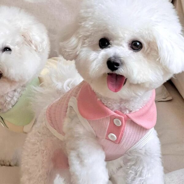 Spring And Summer Solid Color Polo Shirt Puppy Dog Thin Breathable T-shirt - Image 5