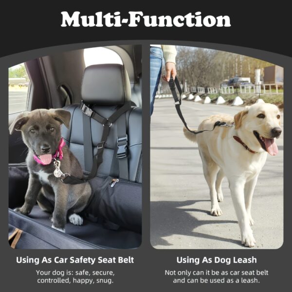 The Two - Piece Dog Leash Set Is Made Of Wear - Resistant And Skin - Friendly Materials. With Excellent Quality, It Meets Various Travel Needs Of Dogs. - Image 5