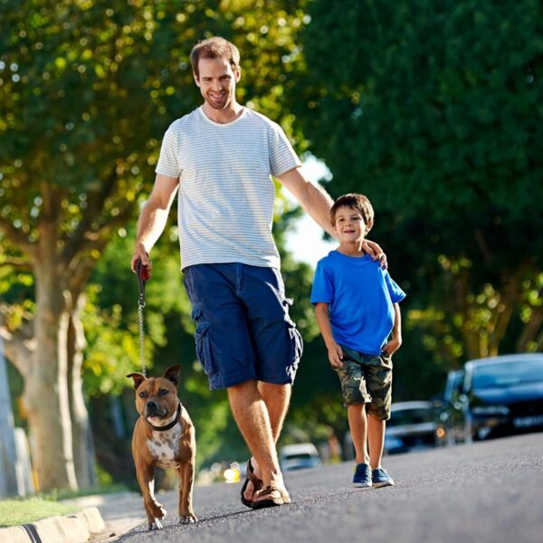 1PCS 1.2m Metal Chain Dog Lead Pet Puppy Leash Long Heavy Duty Anti-Chew Control - Image 6