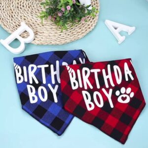 Dog Birthday Plaid Triangle Scarf Pet Saliva Towel Square