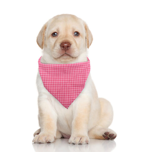 Pet Dog And Cat Plaid Cotton Triangle Scarf - Image 10