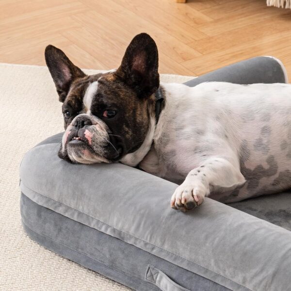 MEWOOFUN Orthopedic Dog Bed For Medium Large Dogs - Egg Foam Sofa With Waterproof Washable Cover, Supportive Pet Bed Grey, 40''x30'' - Image 5