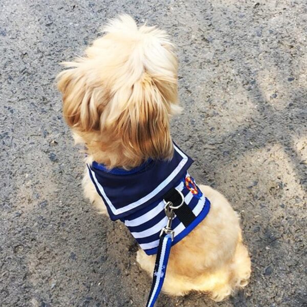 Dog Traction Rope Chest Strap - Image 7