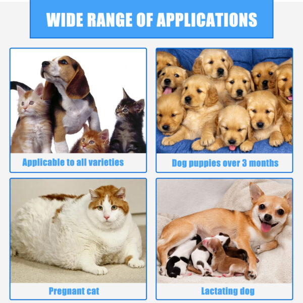 Pet Wound Care Spray Relieves Dogs And Cats Skin - Image 3