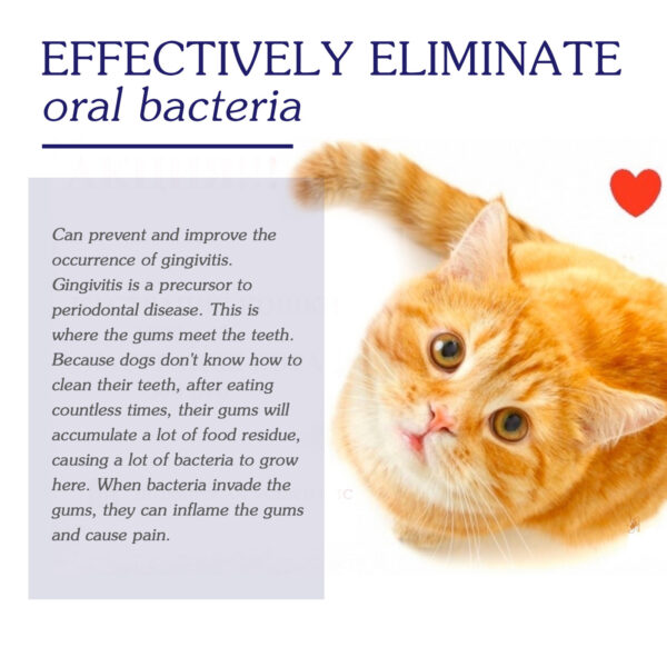 Pet Oral Cleaning Cream Cat And Dog Cleaning Oral Odor - Image 4