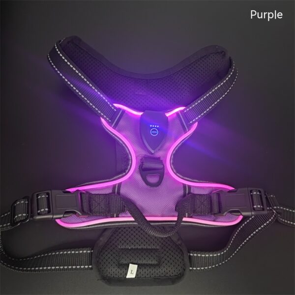 New LED Pet Luminous Night Walking Dog Car Accident Prevention Adjustable Flash Dogs And Cats Vest - Image 7