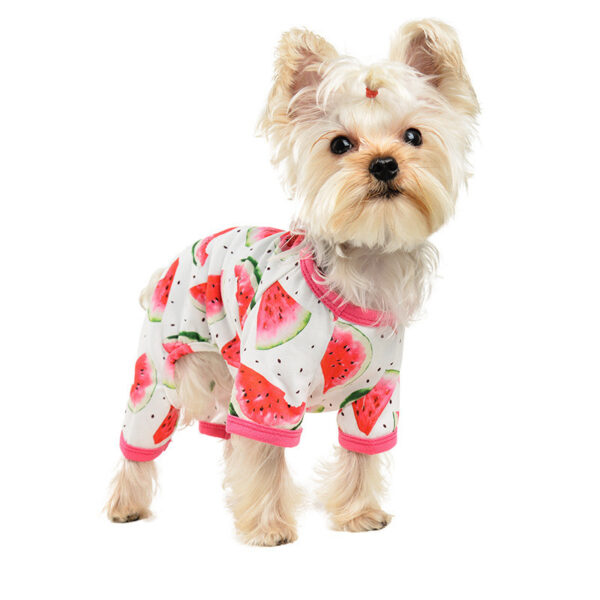 Fashion Dog Watermelon Printing Four-legged Jumpsuit - Image 6