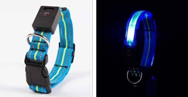 Fiber Optic Waterproof Magnetic Charging Pet Collar - Image 10