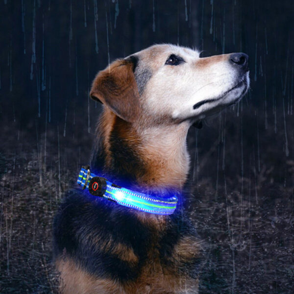 Fiber Optic Waterproof Magnetic Charging Pet Collar - Image 5