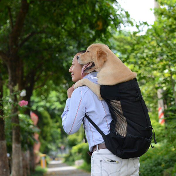 Ventilated And Breathable Pet Backpack - Image 2