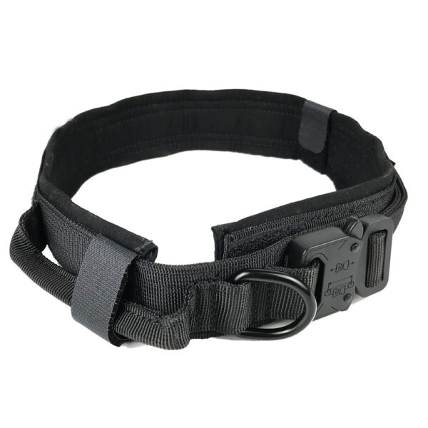 Dog collar - Image 5