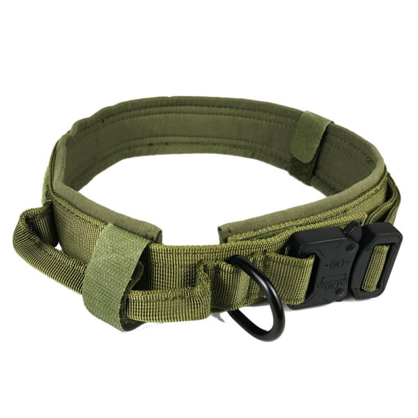 Dog collar - Image 4