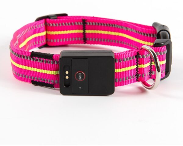 Fiber Optic Waterproof Magnetic Charging Pet Collar - Image 2