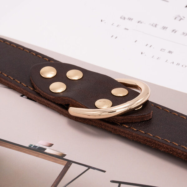 Dog collar - Image 3
