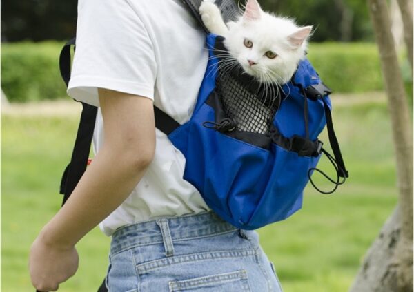 Ventilated And Breathable Pet Backpack - Image 6