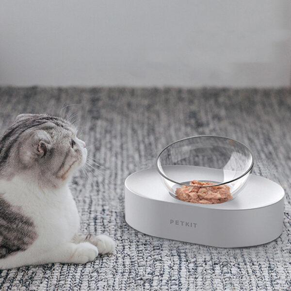Adjustable Stainless Steel Pet Double Bowls Anti-Slip - Image 5