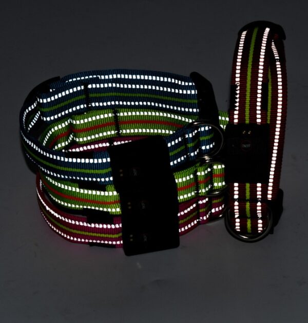 Fiber Optic Waterproof Magnetic Charging Pet Collar - Image 4