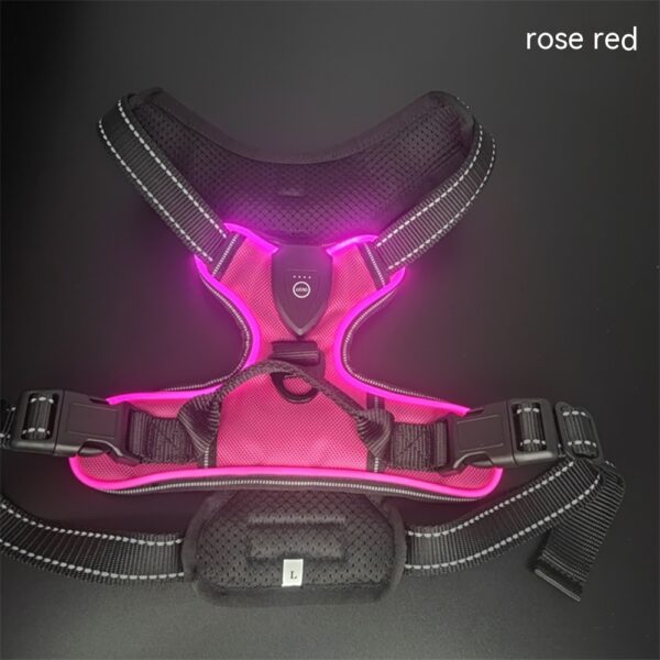 New LED Pet Luminous Night Walking Dog Car Accident Prevention Adjustable Flash Dogs And Cats Vest - Image 4