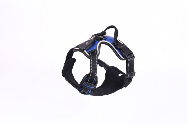 New LED Pet Luminous Night Walking Dog Car Accident Prevention Adjustable Flash Dogs And Cats Vest - Image 8