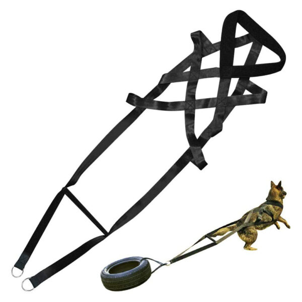 Dog training supplies Dog supplies Leashes Chest straps - Image 4