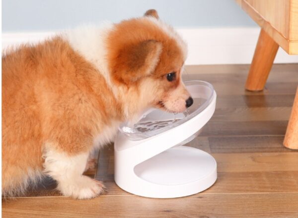 Dog Bowl with Diagonal Mouth To Protect Cervical Vertebra Pet Food Basin - Image 2