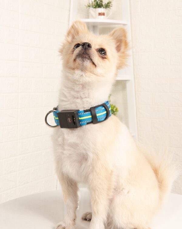 Fiber Optic Waterproof Magnetic Charging Pet Collar - Image 3