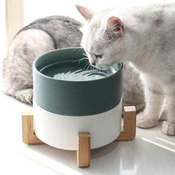 Puppy/Dog Food Bowl - Image 2