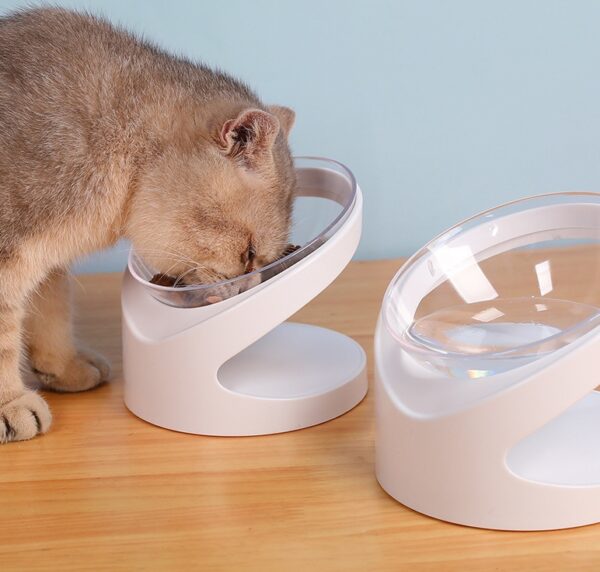 Dog Bowl with Diagonal Mouth To Protect Cervical Vertebra Pet Food Basin - Image 6