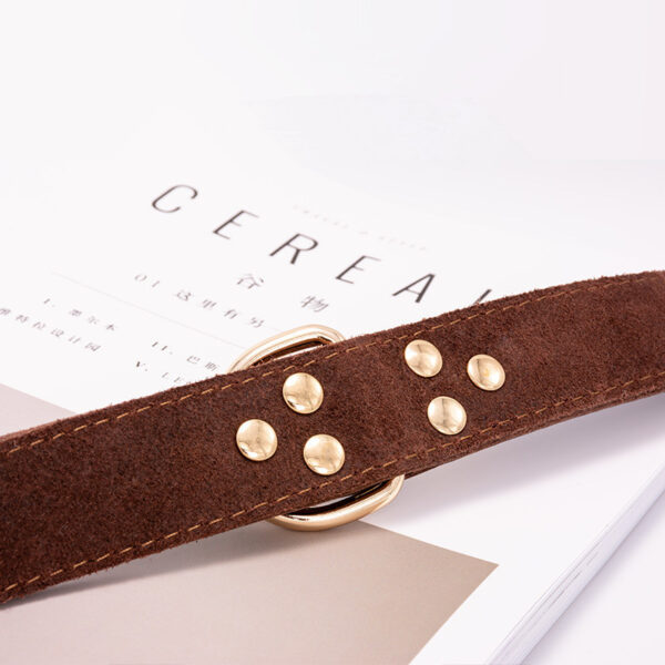 Dog collar - Image 2