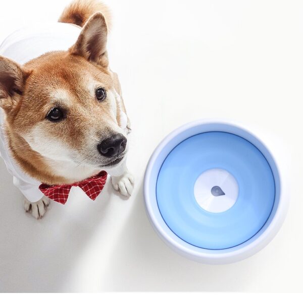 Dog automatic drinking bowl - Image 7