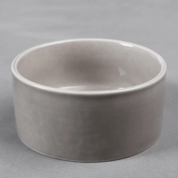 Puppy/Dog Food Bowl
