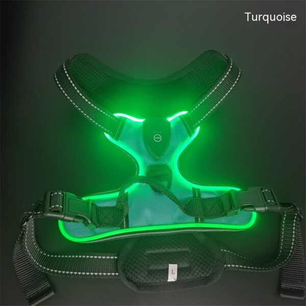 New LED Pet Luminous Night Walking Dog Car Accident Prevention Adjustable Flash Dogs And Cats Vest - Image 2